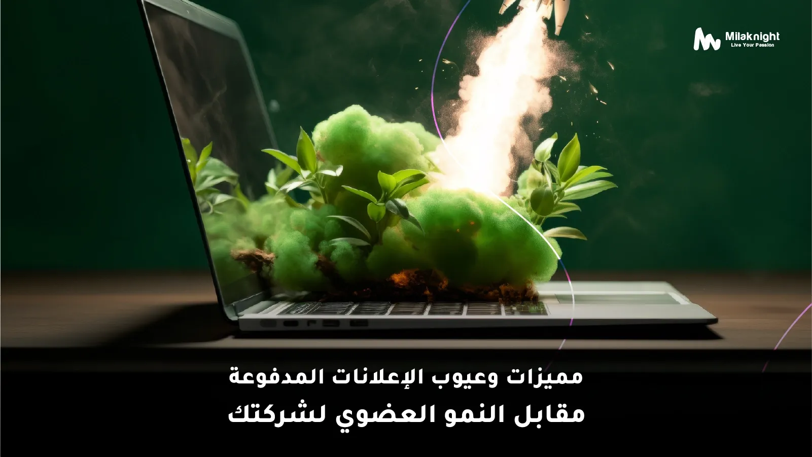 الإعلانات المدفوعة مقابل النمو العضوي