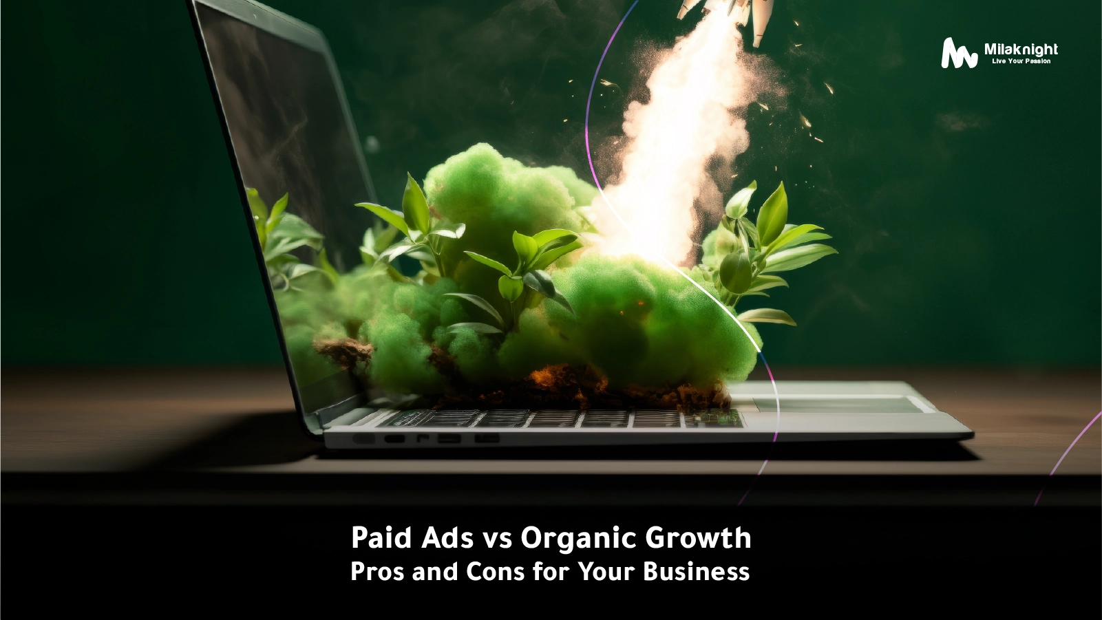 Paid Ads vs Organic Growth